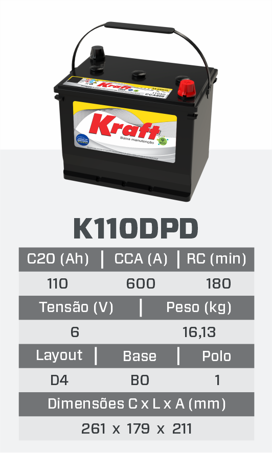 K110DPD